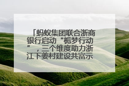 蚂蚁集团联合浙商银行启动“栀梦行动”，三个维度助力浙江下姜村建设共富示范区示范点