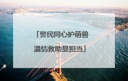 警民同心护萌兽 温情救助显担当