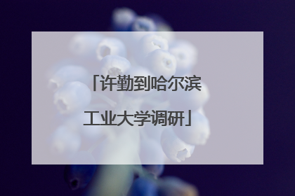 许勤到哈尔滨工业大学调研