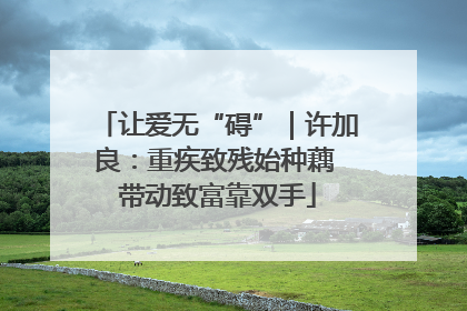 让爱无“碍”｜许加良：重疾致残始种藕 带动致富靠双手