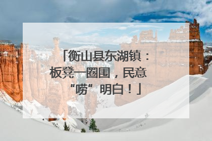 衡山县东湖镇：板凳一圈围，民意“唠”明白！
