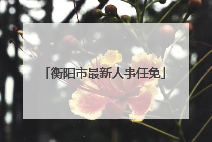 衡阳市最新人事任免