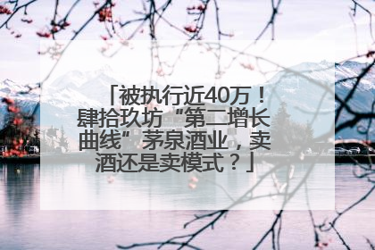 被执行近40万！肆拾玖坊“第二增长曲线”茅泉酒业，卖酒还是卖模式？