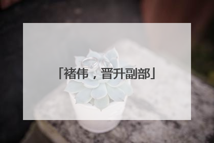 褚伟，晋升副部