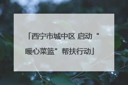 西宁市城中区 启动“暖心菜篮”帮扶行动
