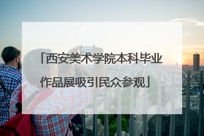 西安美术学院本科毕业作品展吸引民众参观