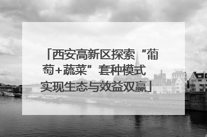 西安高新区探索“葡萄+蔬菜”套种模式 实现生态与效益双赢