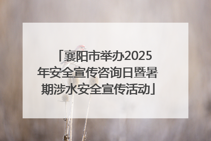 襄阳市举办2025年安全宣传咨询日暨暑期涉水安全宣传活动
