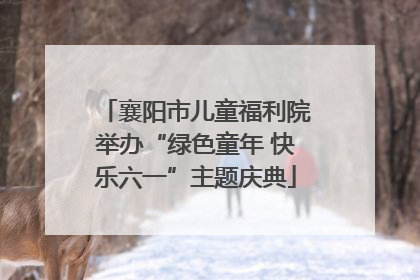 襄阳市儿童福利院举办“绿色童年 快乐六一”主题庆典