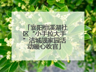襄阳檀溪湖社区“小手拉大手”洁城靓家园活动暖心收官