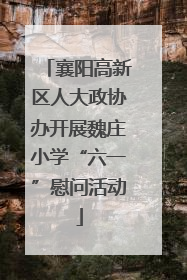 襄阳高新区人大政协办开展魏庄小学“六一”慰问活动