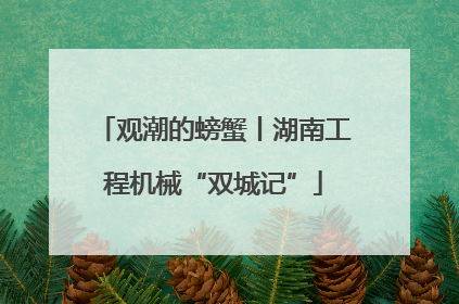 观潮的螃蟹丨湖南工程机械“双城记”
