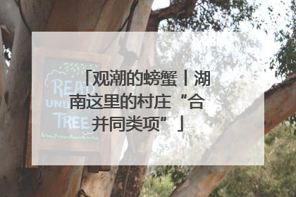 观潮的螃蟹丨湖南这里的村庄“合并同类项”