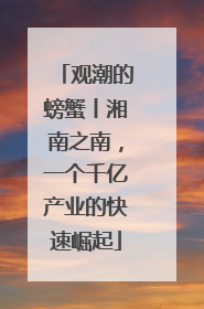 观潮的螃蟹丨湘南之南，一个千亿产业的快速崛起