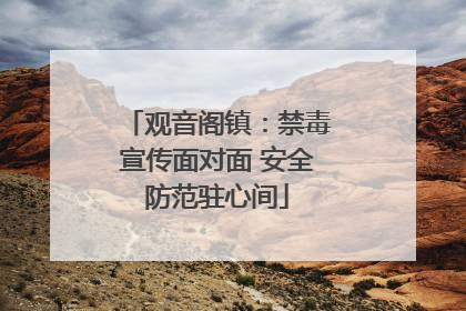 观音阁镇：禁毒宣传面对面 安全防范驻心间