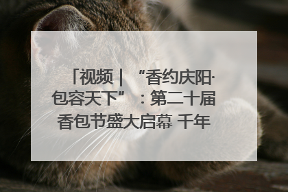视频｜“香约庆阳·包容天下”：第二十届香包节盛大启幕 千年非遗香飘世界