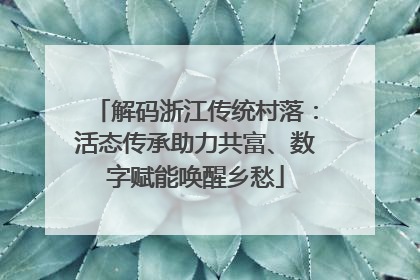 解码浙江传统村落：活态传承助力共富、数字赋能唤醒乡愁