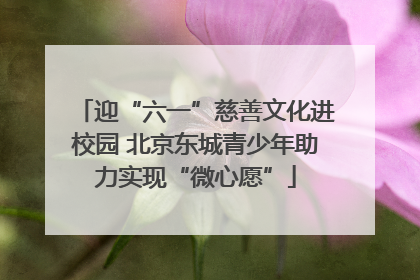 迎“六一”慈善文化进校园 北京东城青少年助力实现“微心愿”