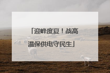 迎峰度夏！战高温保供电守民生