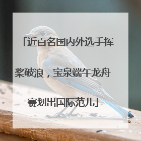 近百名国内外选手挥桨破浪，宝泉端午龙舟赛划出国际范儿