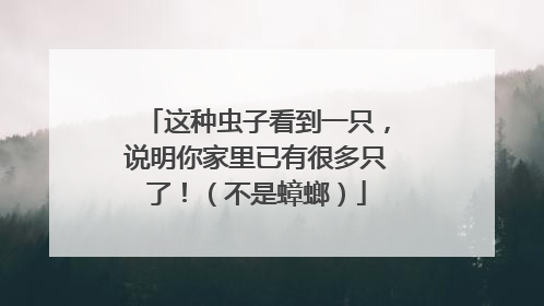 这种虫子看到一只，说明你家里已有很多只了！（不是蟑螂）