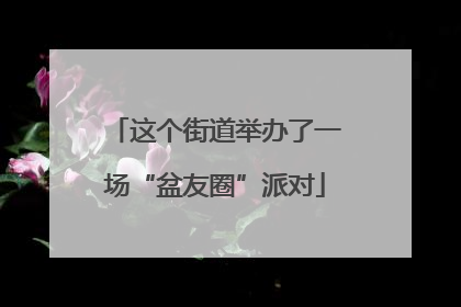 这个街道举办了一场“盆友圈”派对