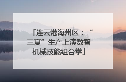 连云港海州区：“三夏”生产上演数智机械技能组合拳