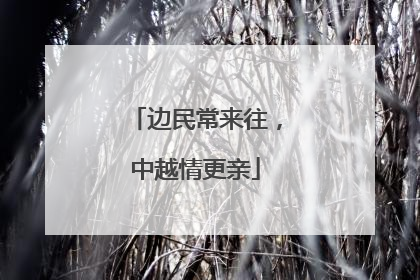边民常来往，中越情更亲