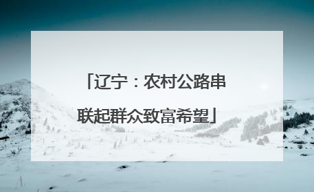辽宁：农村公路串联起群众致富希望