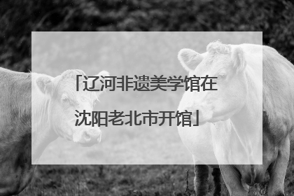 辽河非遗美学馆在沈阳老北市开馆