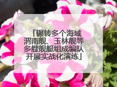 辗转多个海域 渭南舰、玉林舰等多艘舰艇组成编队开展实战化演练