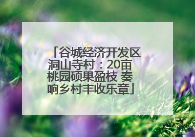 谷城经济开发区洞山寺村：20亩桃园硕果盈枝 奏响乡村丰收乐章