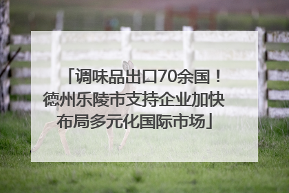 调味品出口70余国！德州乐陵市支持企业加快布局多元化国际市场