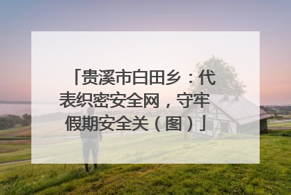 贵溪市白田乡：代表织密安全网，守牢假期安全关（图）