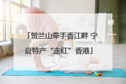 贺兰山牵手香江畔 宁夏特产“走红”香港