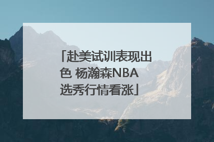 赴美试训表现出色 杨瀚森NBA选秀行情看涨