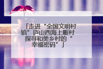 走进“全国文明村镇”庐山西海上畈村 探寻和美乡村的“幸福密码”