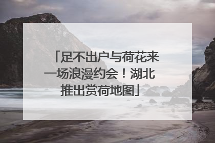 足不出户与荷花来一场浪漫约会！湖北推出赏荷地图