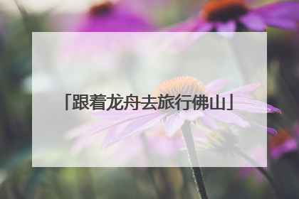 跟着龙舟去旅行佛山