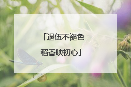 退伍不褪色 稻香映初心