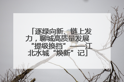 逐绿向新、链上发力，聊城高质量发展“提级换挡”——江北水城“焕新”记