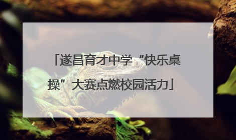 遂昌育才中学“快乐桌操”大赛点燃校园活力