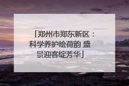 郑州市郑东新区：科学养护绘荷韵 盛景迎客绽芳华
