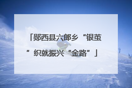 郧西县六郎乡“银茧”织就振兴“金路”