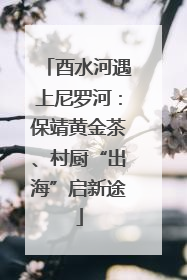 酉水河遇上尼罗河：保靖黄金茶、村厨“出海”启新途