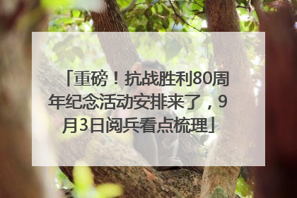重磅！抗战胜利80周年纪念活动安排来了，9月3日阅兵看点梳理