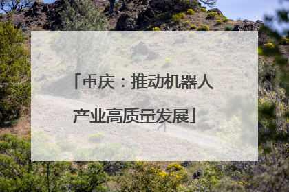 重庆：推动机器人产业高质量发展