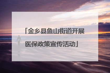 金乡县鱼山街道开展医保政策宣传活动