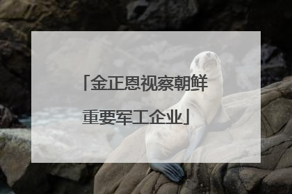 金正恩视察朝鲜重要军工企业