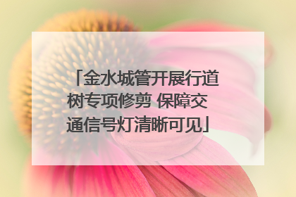 金水城管开展行道树专项修剪 保障交通信号灯清晰可见